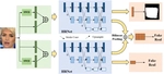 Inconsistency-aware wavelet dual-branch network for face forgery detection